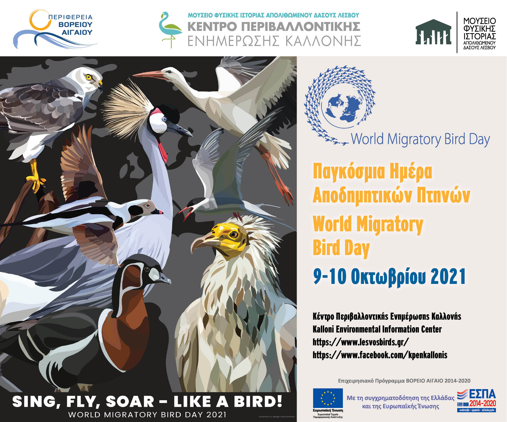 Παγκόσμια Ημέρα Μεταναστευτικών Πουλιών 2021- Εξόρμηση παρατήρησης πουλιών στις Αλυκές Καλλονής