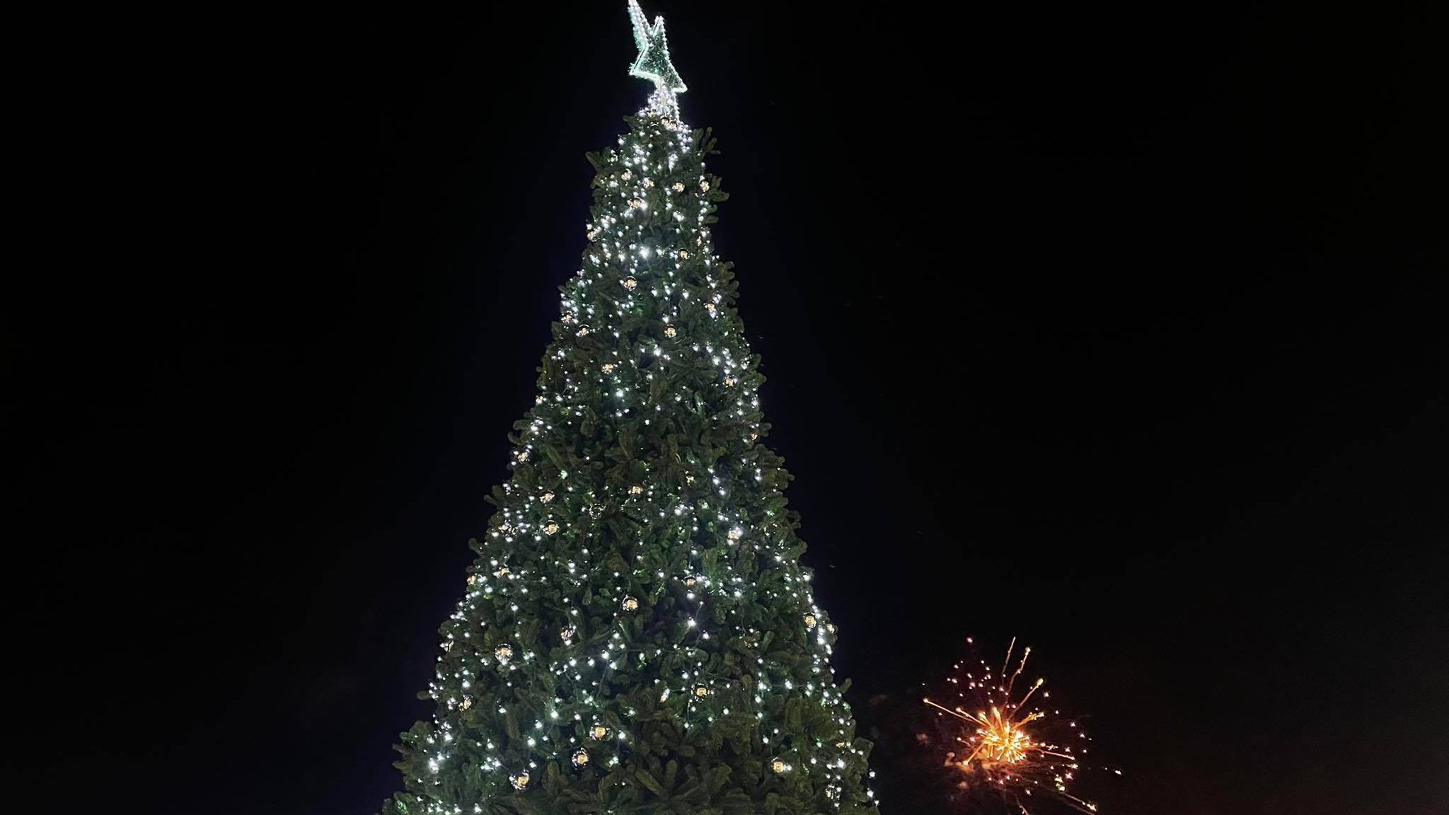 Φωταγωγήθηκε το χριστουγεννιάτικο δέντρο στη πόλη της Μυτιλήνης