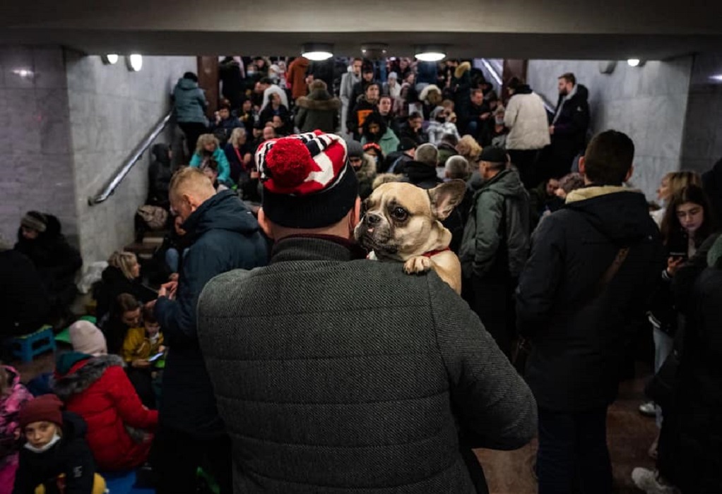 Κατοικίδια πρόσφυγες από την Ουκρανία προς αναζήτηση καταφυγίων στην Ευρώπη