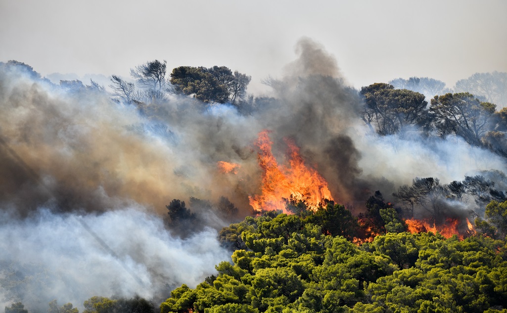 Υψηλός κίνδυνος πυρκαγιά την Κυριακή για τη Λέσβο- Πολύ υψηλός για τη Χίο