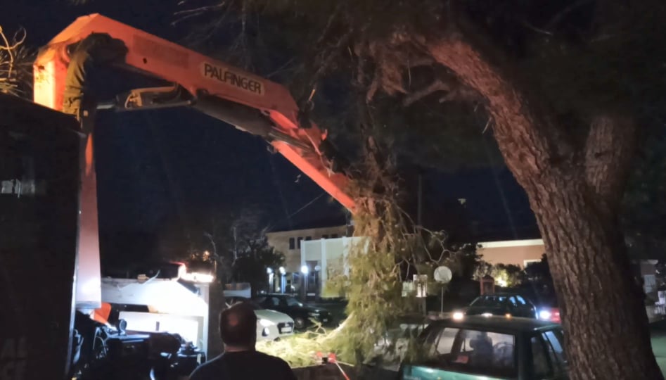 Κλαδί δέντρου καταπλάκωσε  αυτοκίνητο στο Κιόσκι