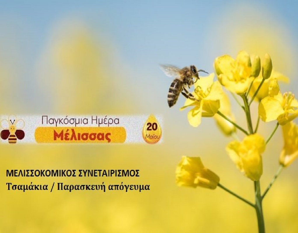 O Μελισσοκομικός Συνεταιρισμός Λέσβου σήμερα το απόγευμα στα Τσαμάκια