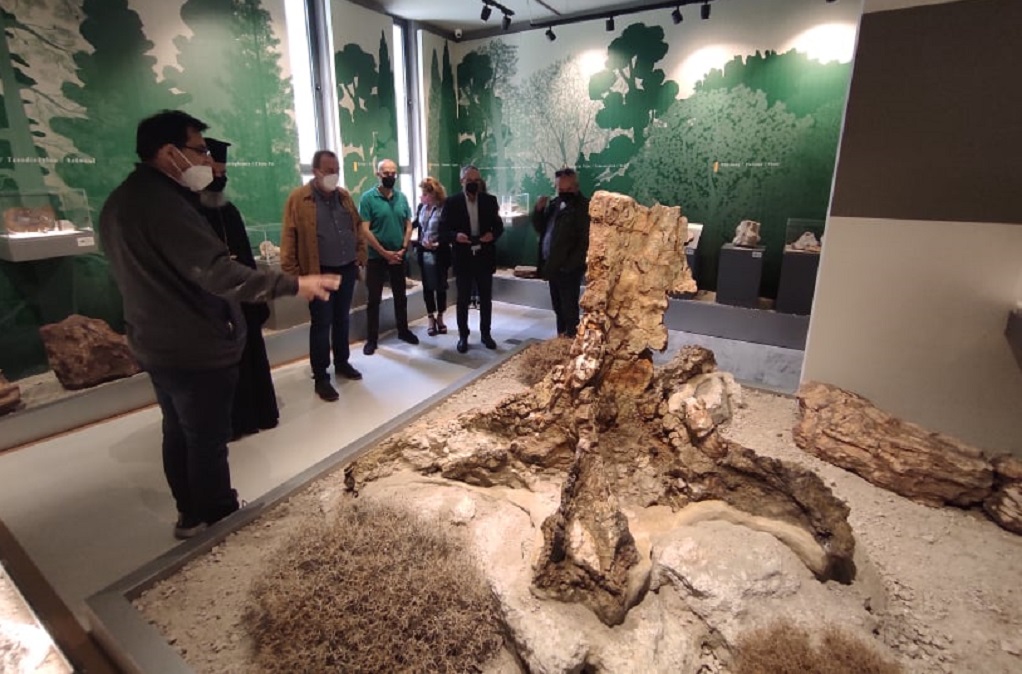 Επίσκεψη αντιπροσωπείας της DIGEA στο Μουσείο Φυσικής Ιστορίας Απολιθωμένου Δάσους Λέσβου