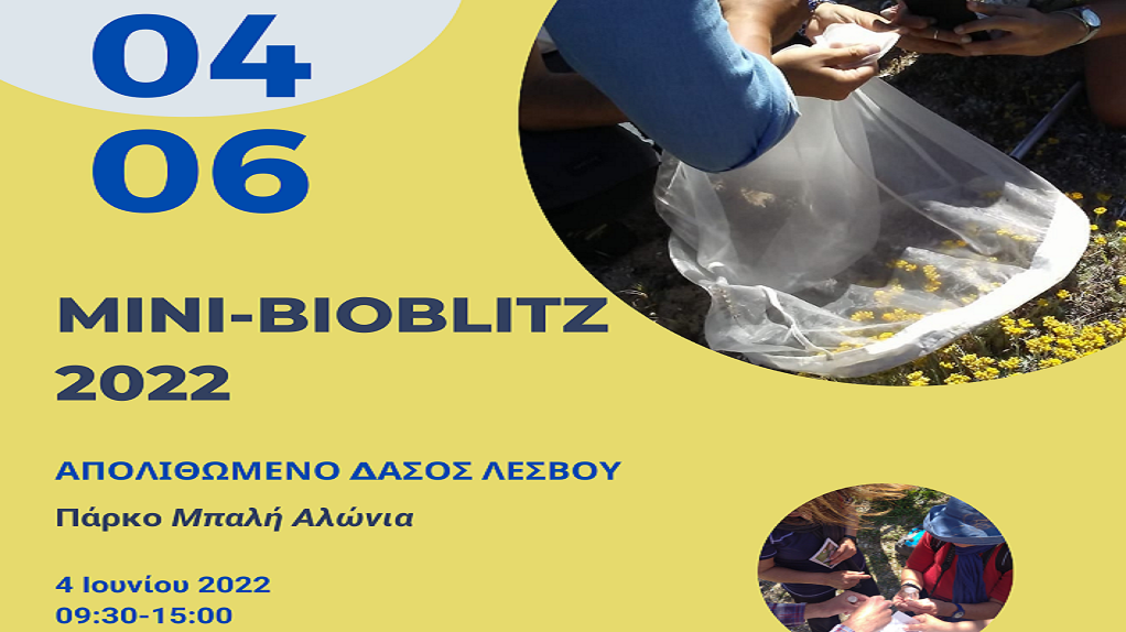 Πρώτο mini-bioblitz «Προστατεύοντας τις άγριες μέλισσες και τους άλλους επικονιαστές της περιοχής του Σιγρίου»