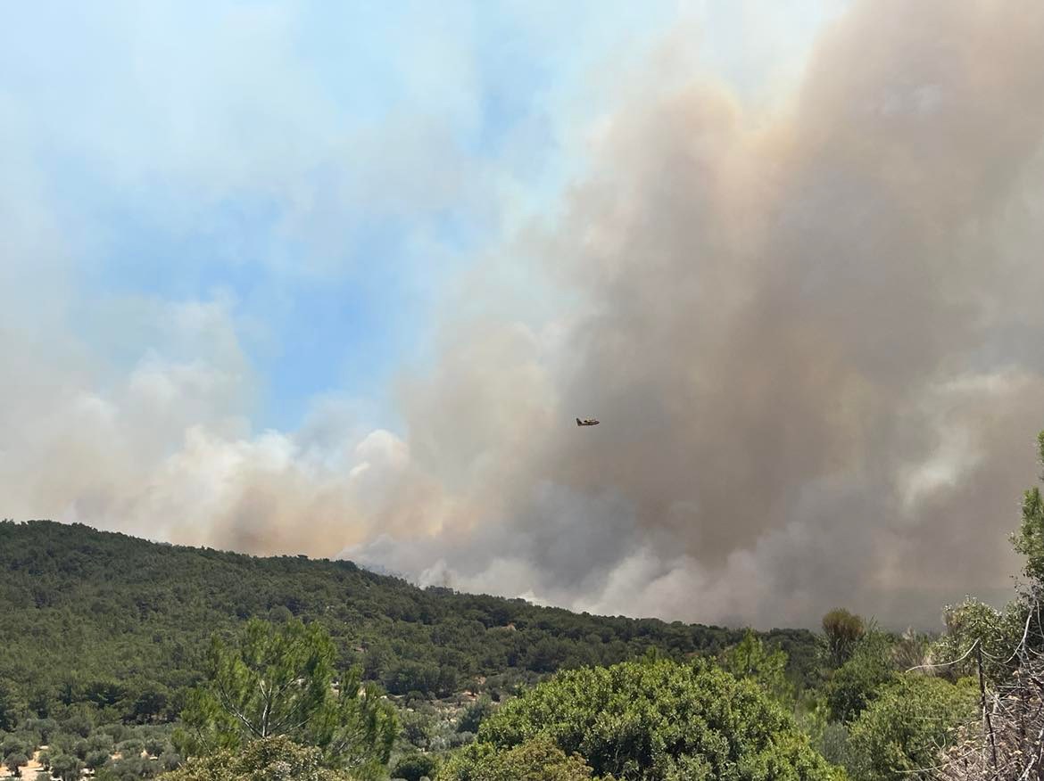 ΟΛΣΑ: «Δεν ξεχνάμε τη μεγάλη φωτιά στην περιοχή Βρίσας-Βατερών»