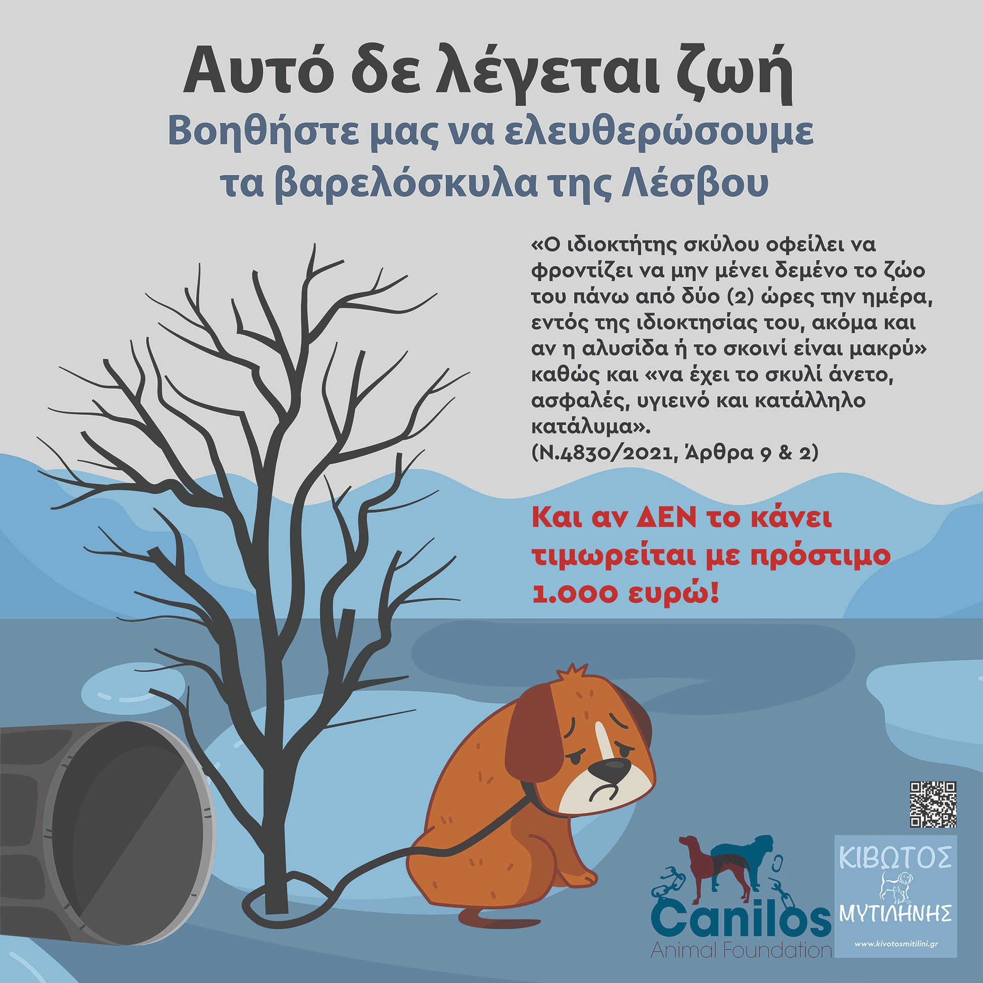 Μήνυμα ευαισθητοποίησης για την προστασία των ζώων σε αστικά λεωφορεία της Λέσβου