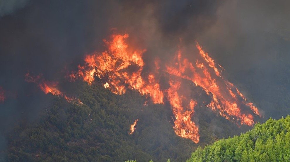 Προκαταβολή αποζημιώσεων στους ελαιοκαλλιεργητές που επλήγησαν από την πυρκαγιά το περασμένο καλοκαίρι