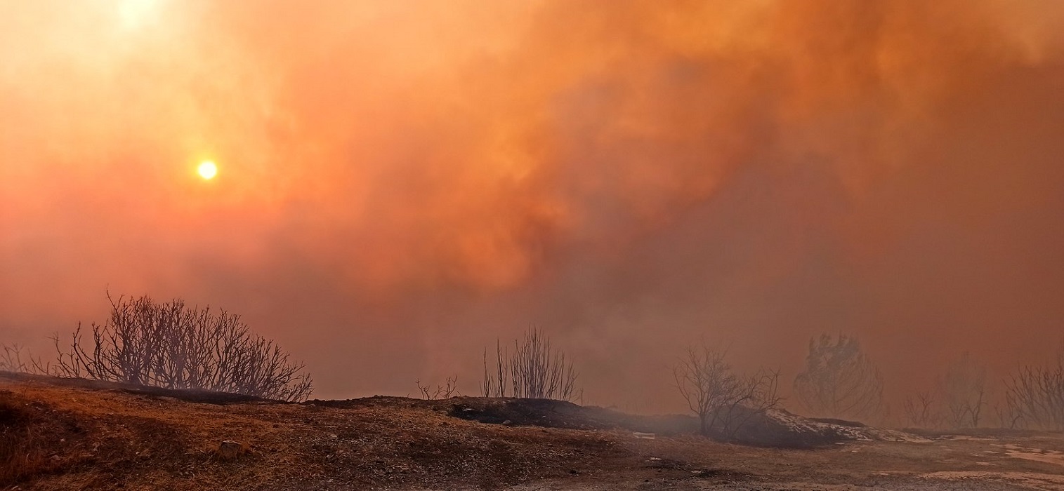 Οι Οικολόγοι Πράσινοι για την καταστροφική φωτιά στη Λέσβο