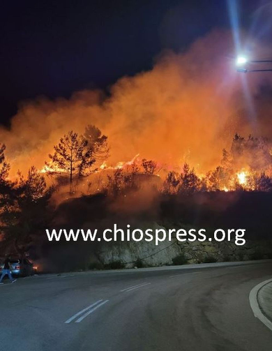 Φωτιά σε δασική έκταση στη Χίο