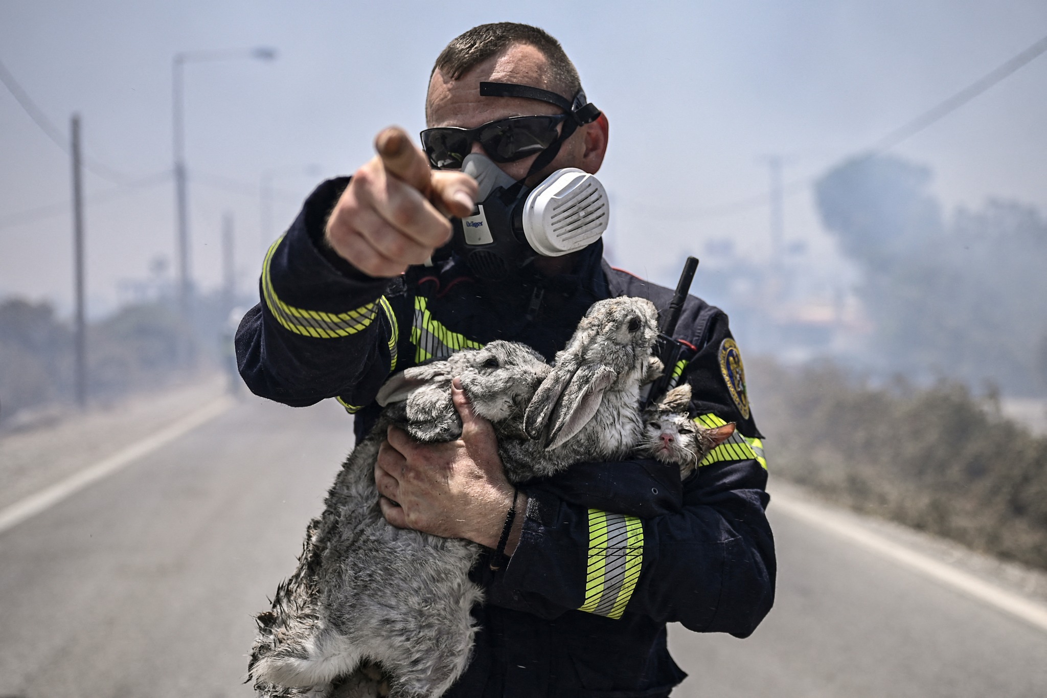 VIRAL: Πυροσβέστης κρατά αγκαλιά δύο λαγουδάκια και ένα γατάκι που διέσωσε από τη φωτιά στη Ρόδο