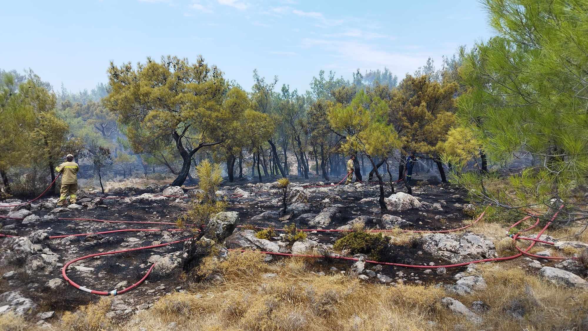 Υπό έλεγχο η φωτιά στην Αχλαδερή – Επί ποδός η πυροσβεστική για τον κίνδυνο αναζωπυρώσεων