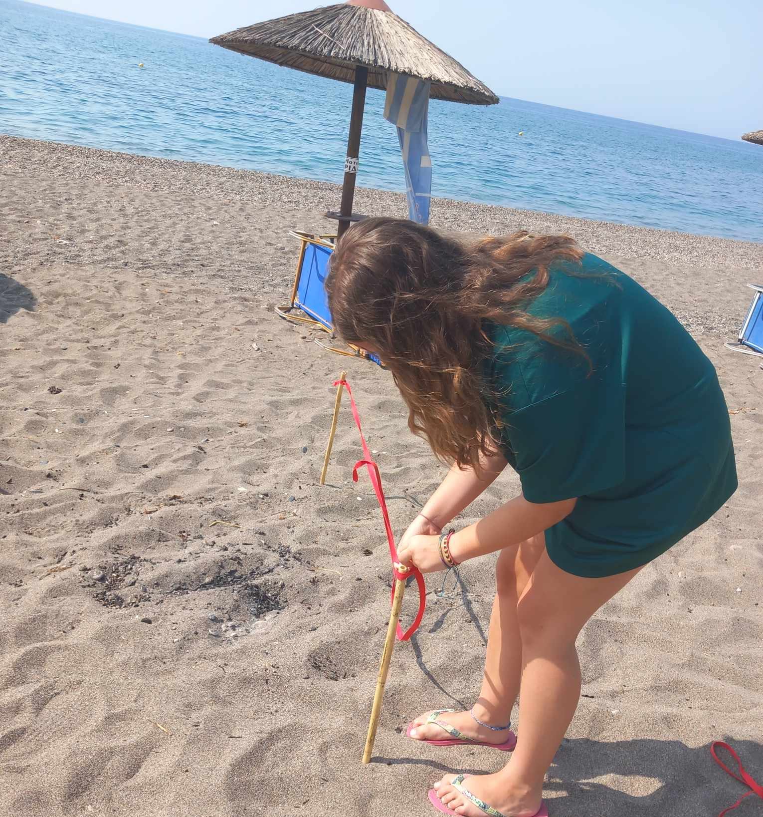 Μια 17χρονη εθελόντρια έσωσε τις μικρές χελώνες Caretta- Caretta  στην παραλία των Βατερών