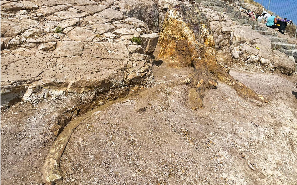 Περιήγηση στο Νέο Πάρκο Απολιθωμάτων στην περιοχή Ακροχειρας «Ιωάννης Τουμπελέκης»