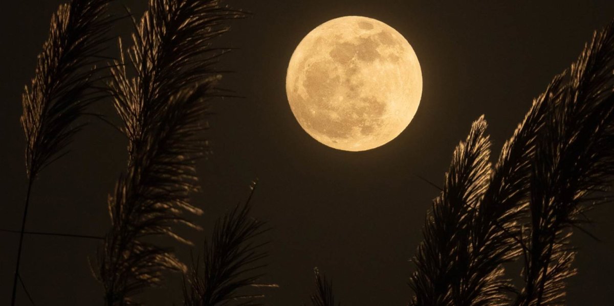 «Φεγγάρι του Λύκου»: Σήμερα η πανσέληνος του Ιανουαρίου – Γιατί ονομάστηκε έτσι