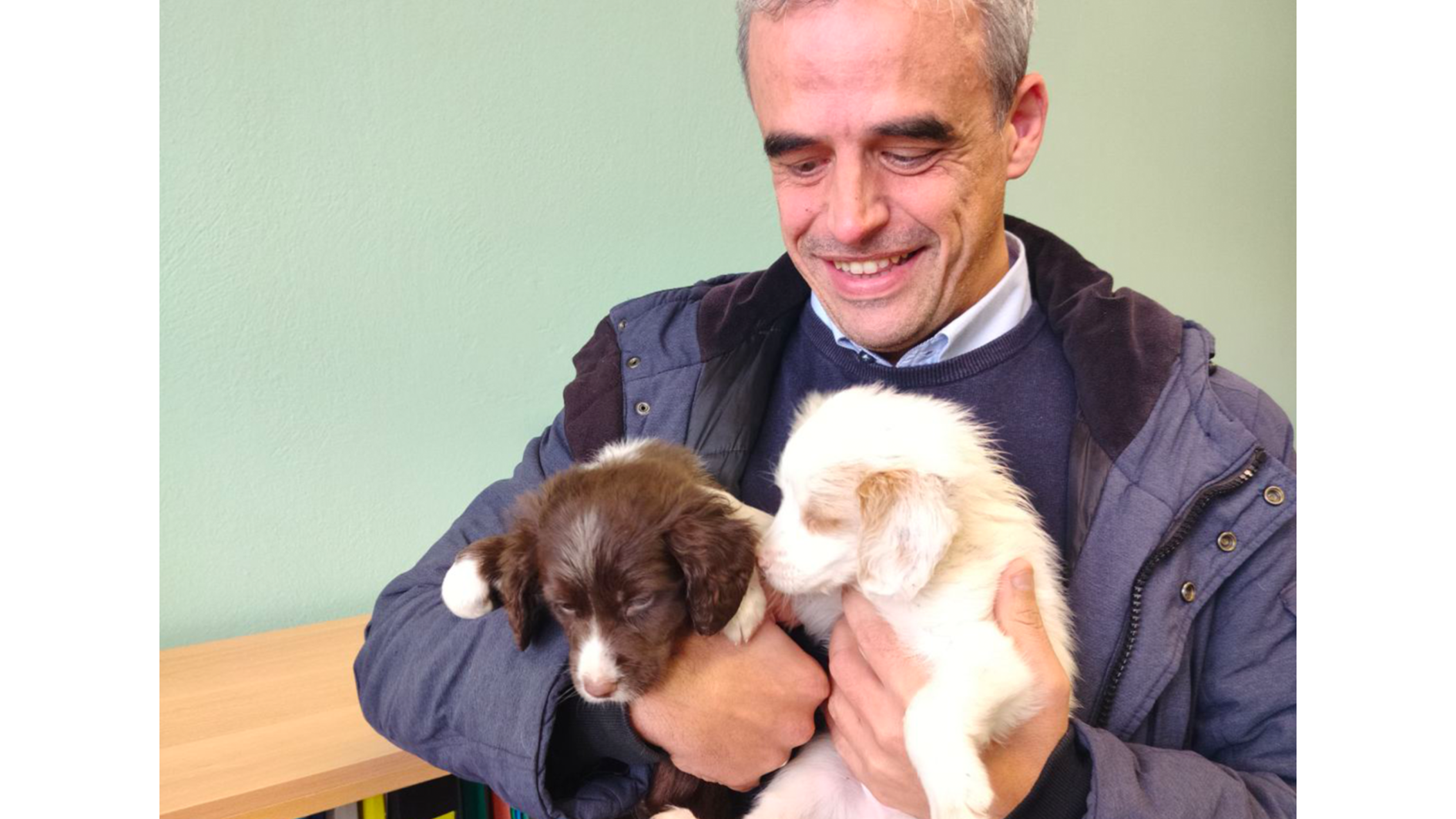 Αλυσίδα αγάπης από τον Δήμο Μυτιλήνης και τους εθελοντές για τα αδέσποτα ζώα
