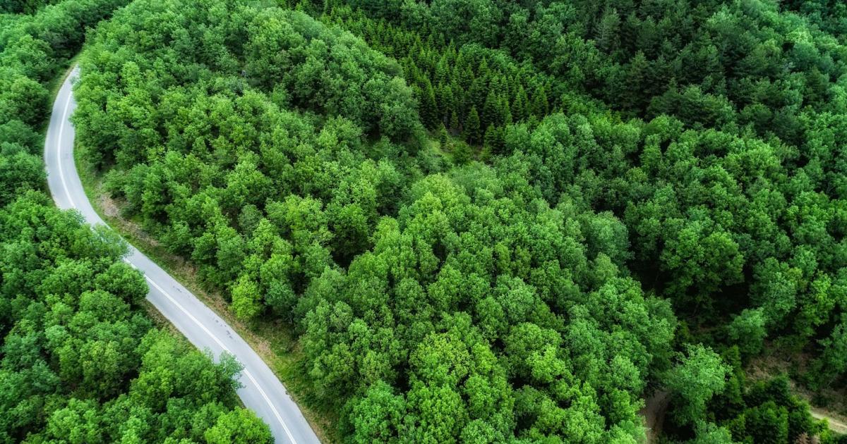 Εγκρίθηκε το σχέδιο «ΙΟΛΑΟΣ» για την αντιμετώπιση δασικών πυρκαγιών από τη Δημοτική Επιτροπή του Δήμου Μυτιλήνης