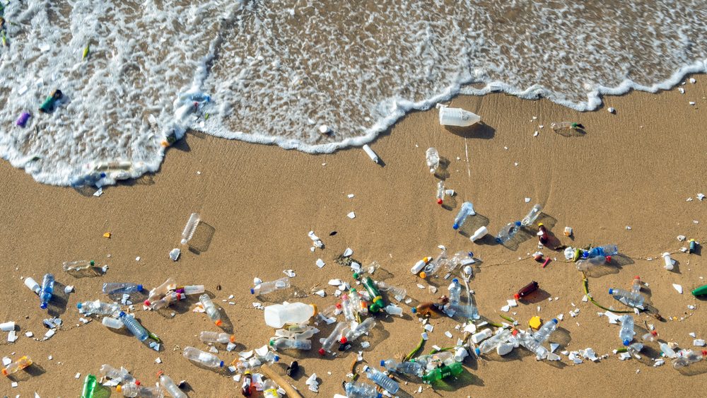 Δράση καθαρισμού στην παραλία της Χαραμίδας από το «Λέσβος Χωρίς Πλαστικά»