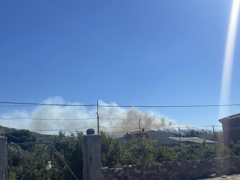 Έκκληση των Ομοσπονδίας Αγροτικών Συλλόγων  για συνδρομή στην πυρκαγιά στη Μόρια