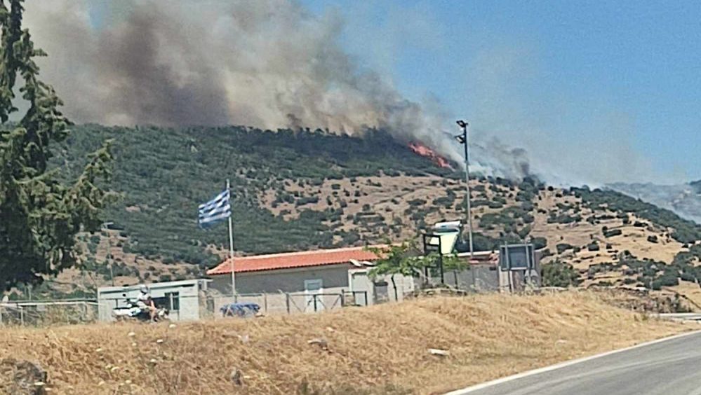 Σύλληψη 28χρονου για την πυρκαγιά στον Μανταμάδο