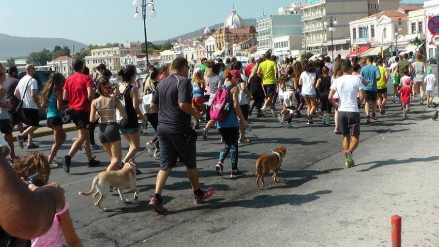 Αγώνας δρόμου για τα αδέσποτα ζώα – Stray animals run 2024